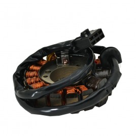 Γνήσια πηνία για Kawasaki KR250 KR1S