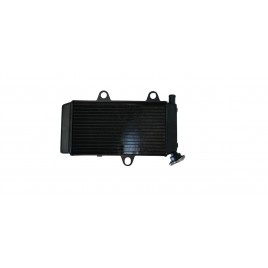 Ψυγείο Νερού Για Yamaha XT 660
